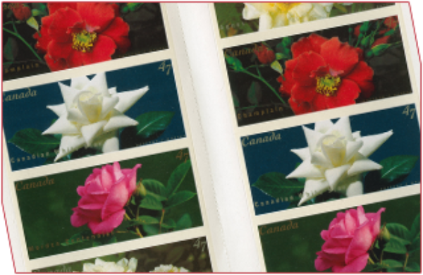 Renowned photographer Alex Waterhouse-Hayward's images of Canadian-bred roses appeared on postage stamps in 2001.