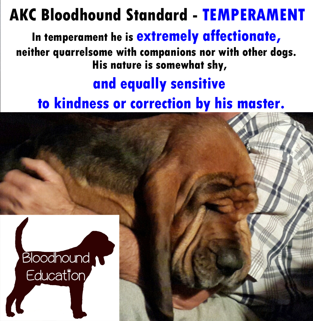 https://0201.nccdn.net/1_2/000/000/186/7b0/4a-std---temperament---affectionate-sensitive.jpg