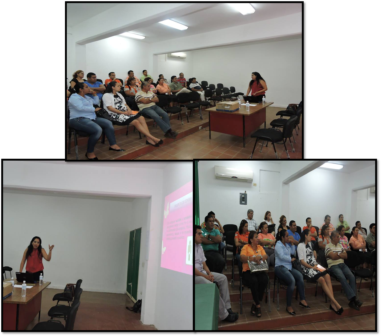 El día 13 de enero de 2016  se desarrolló un taller con el tema " EQUIDAD DE GENERO" dirigido al personal operativo de la Secretaria de Agricultura,Ganaderia, Desarrollo rural, Pesca y Alimentación(SAGARPA) en Tapachula, Chiapas.