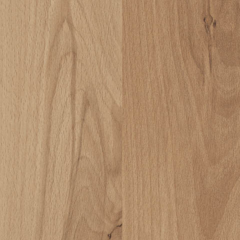 MOUNTAIN BEECH SPLASH 
TS4SP8-2535