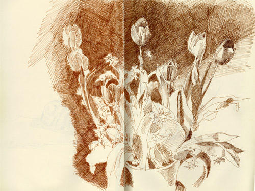 Tulips in sepia