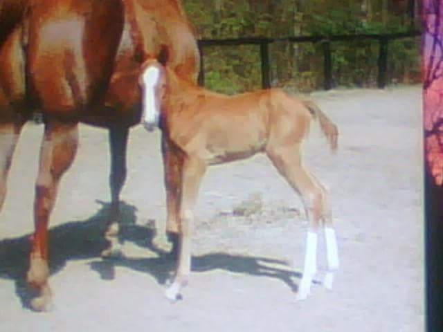 Twister with his Mommy