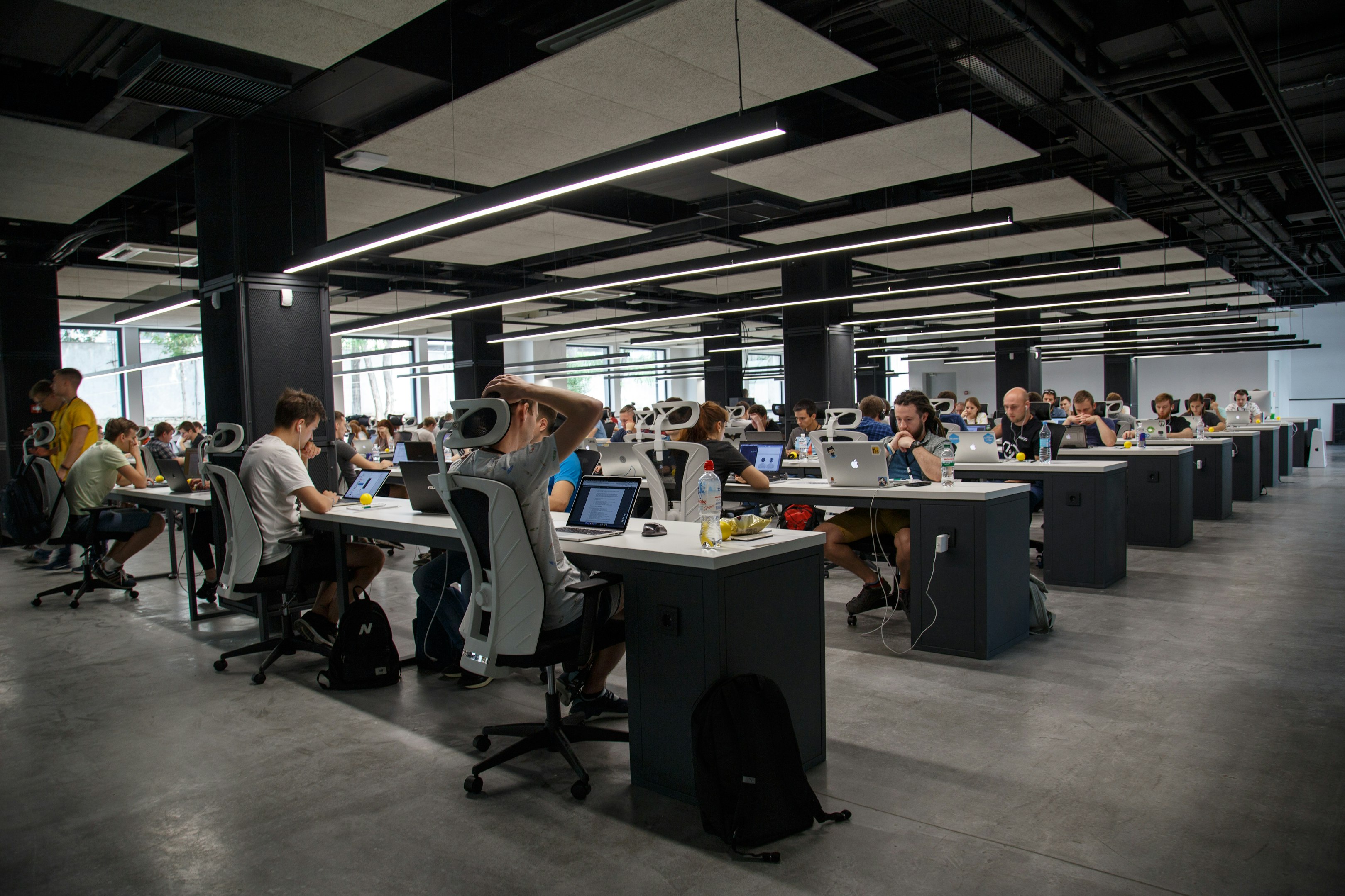 personas haciendo trabajos de oficina