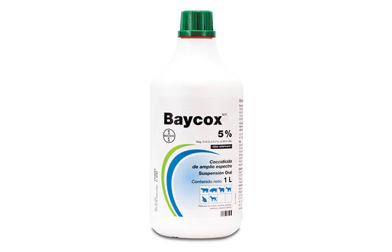 https://0201.nccdn.net/1_2/000/000/187/863/Baycox-5-780x502.jpg