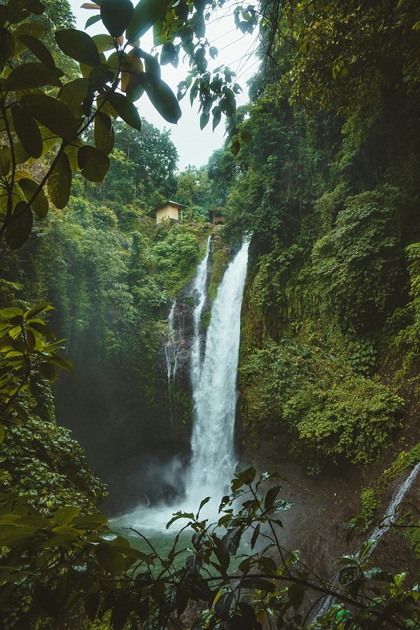WaterFall in Forest