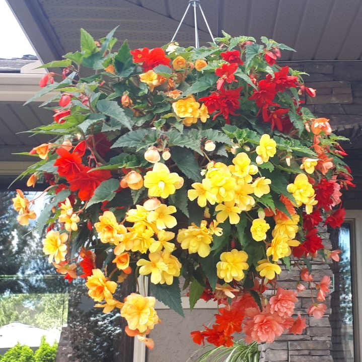 https://0201.nccdn.net/1_2/000/000/187/c32/resized_20220627_123425_5890.png