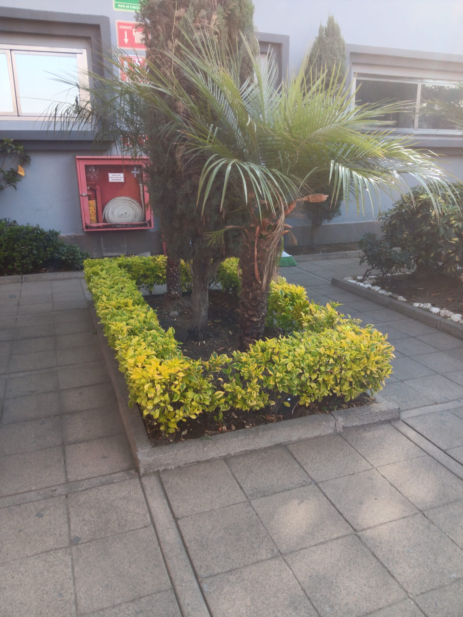 Camino pavimentado junto a un área de jardín con árboles y tierra recién removida en un parque.