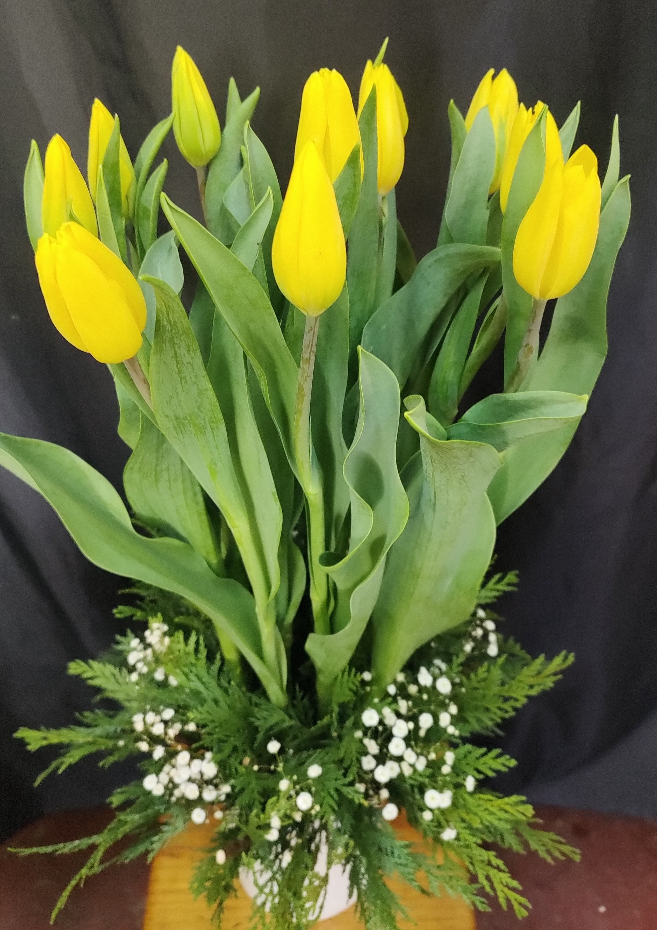 TULIPANES