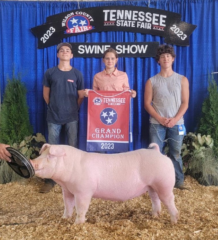 Cara Roach
Champion AOB Gilt
Champion TN Bred AOB Gilt