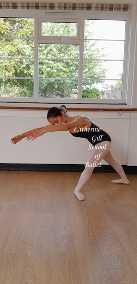 https://0201.nccdn.net/1_2/000/000/188/650/copyrightcatherinegillschoolofballetadvsfb-8in.png