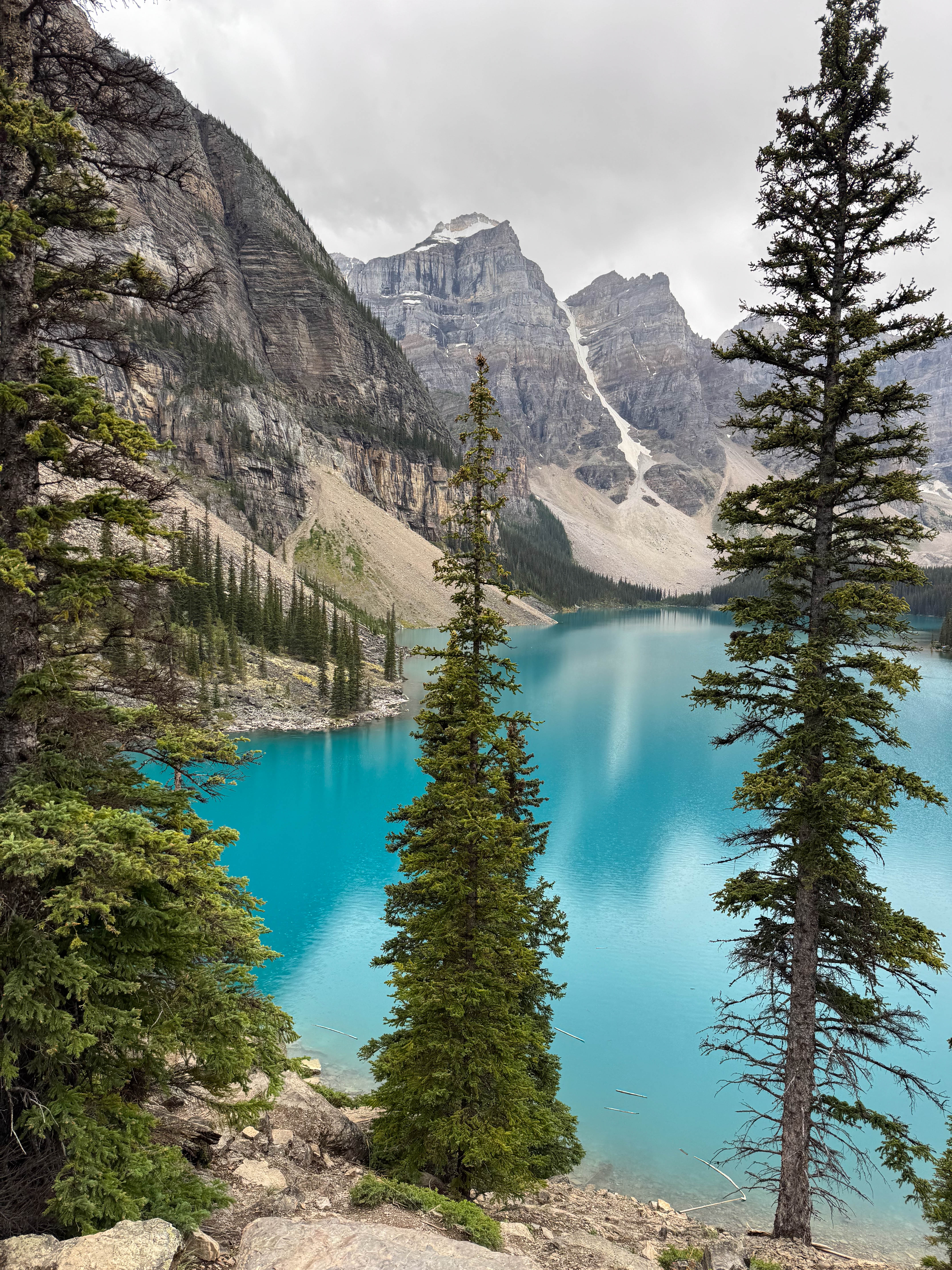 https://0201.nccdn.net/1_2/000/000/188/67a/calgary-order-100.jpg