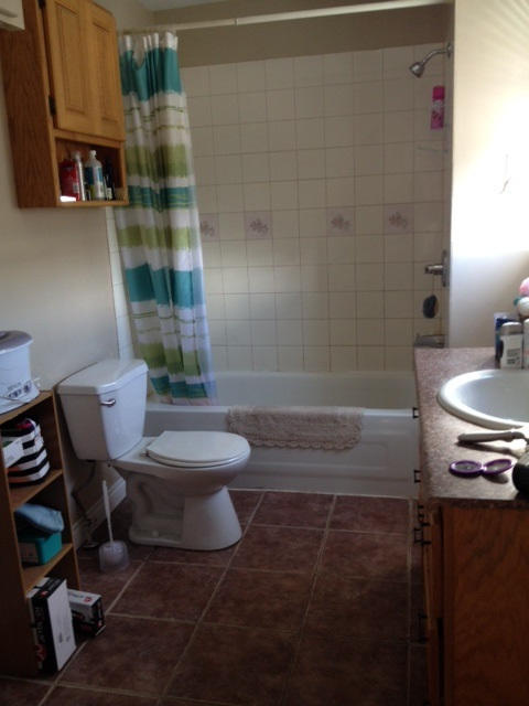 205 Charlotte West #3 Bathroom