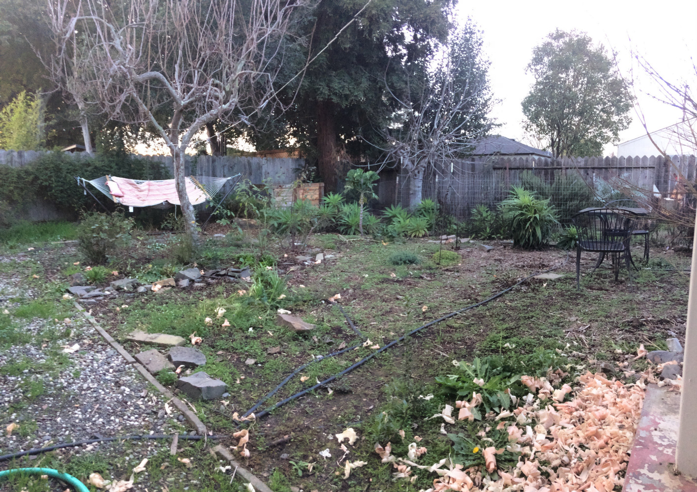BEFORE - backyard in need of defined spaces