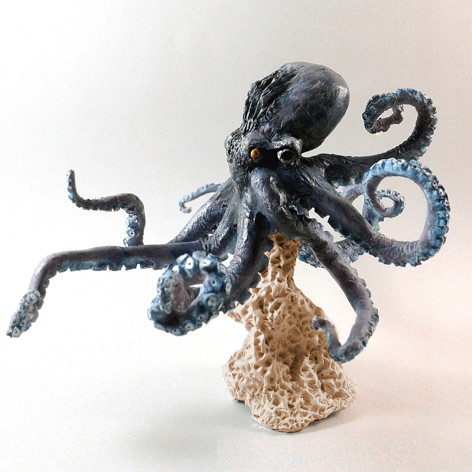 Pulpo