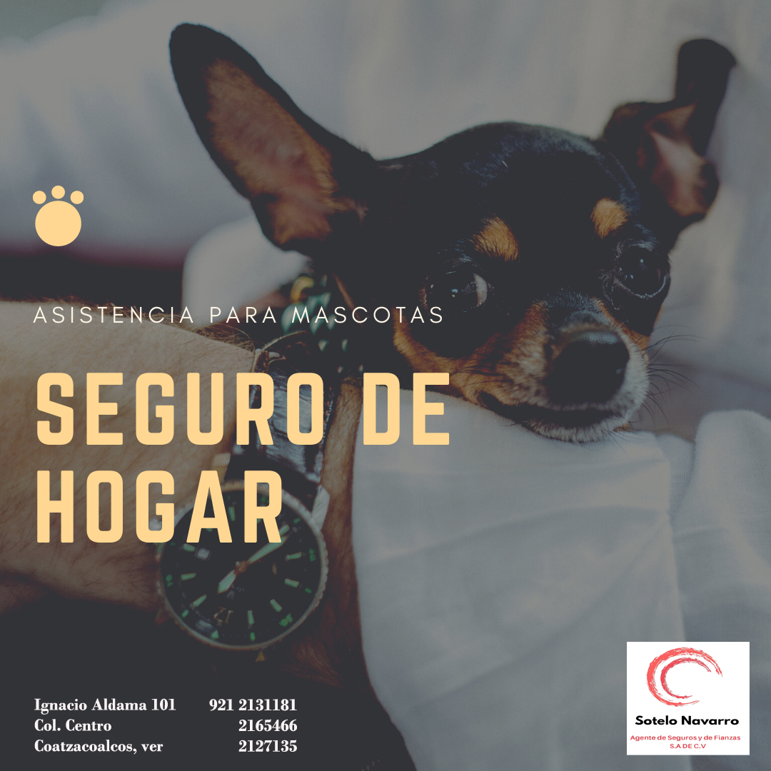https://0201.nccdn.net/1_2/000/000/189/1d0/seguro-de-hogar.jpg