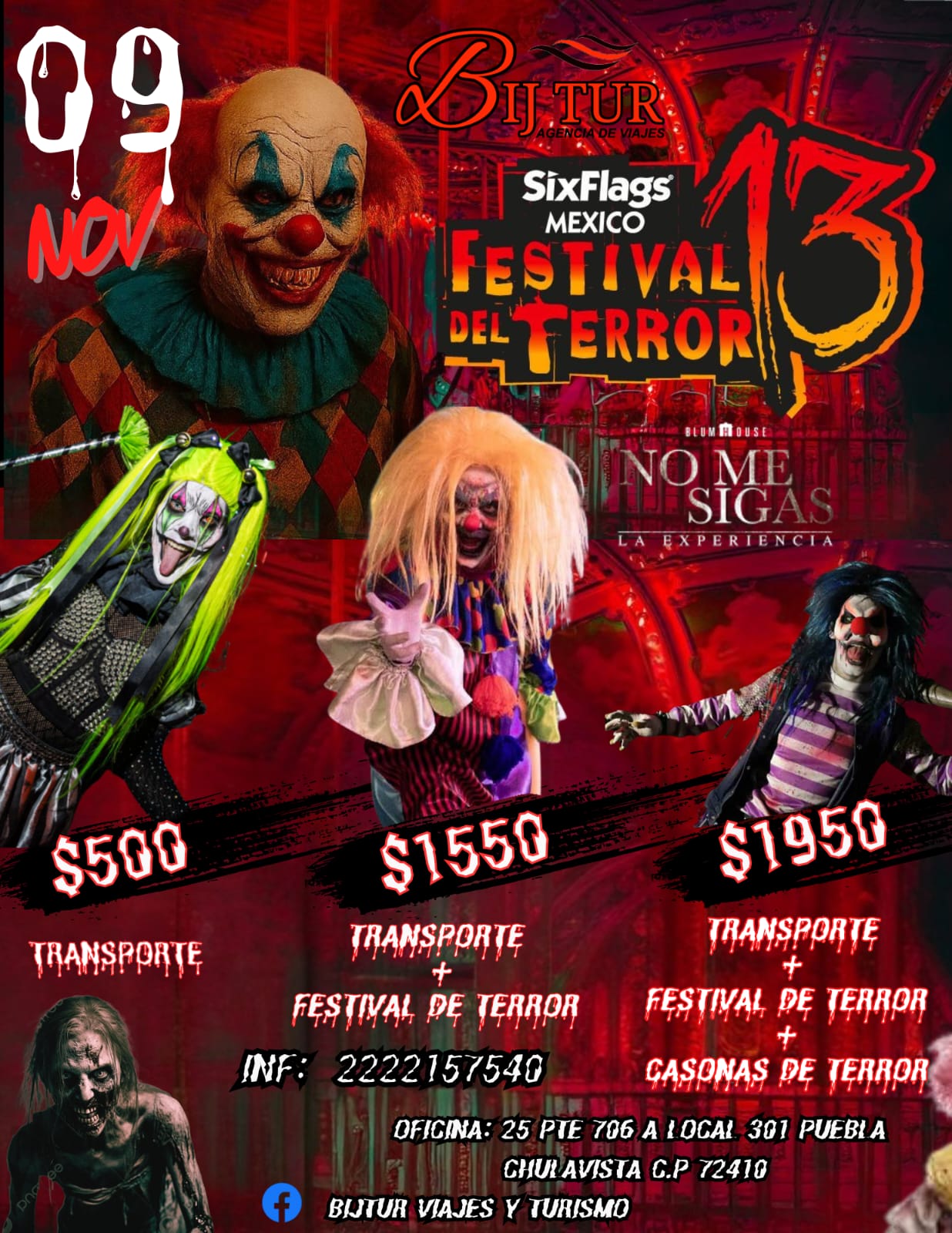 Tigre descansando en un interior iluminado por el sol, con ventanas grandes y lámparas colgantes.