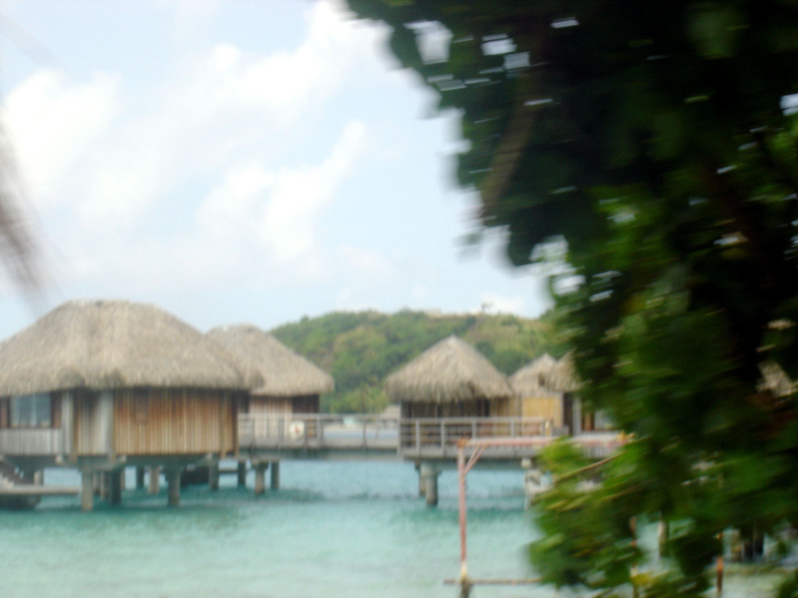 Tahiti Gallery