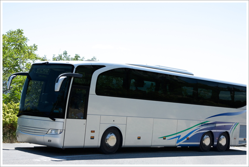 Bus with design on side||||Passenger Carriers