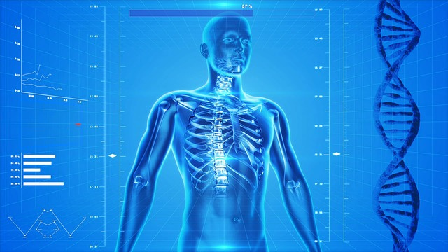 https://0201.nccdn.net/1_2/000/000/189/c66/human-skeleton-163715_640-640x360.jpg