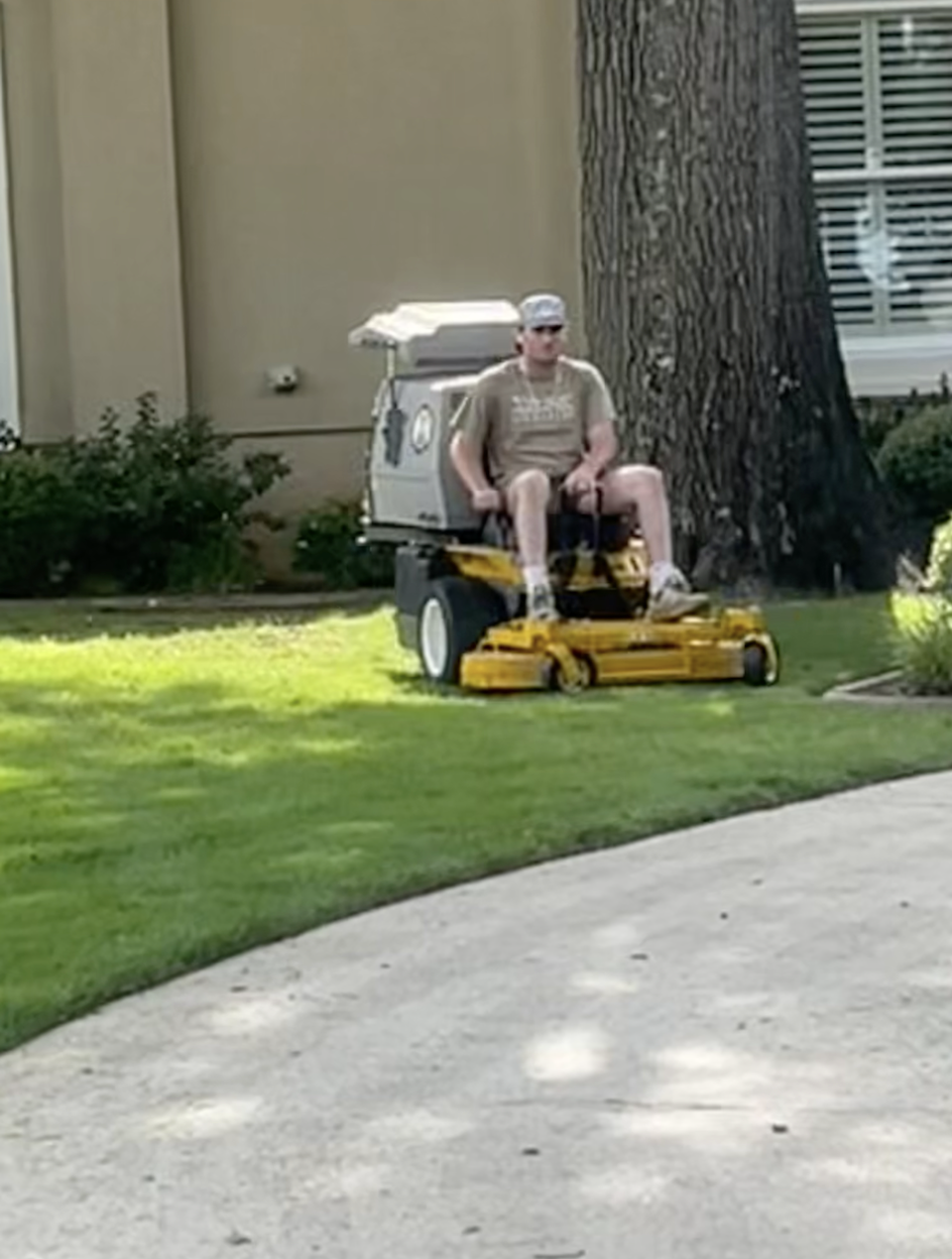 Scenic garden pathway lined with lush greenery and blooming pink flowers, shaded by tall trees on a sunny day.