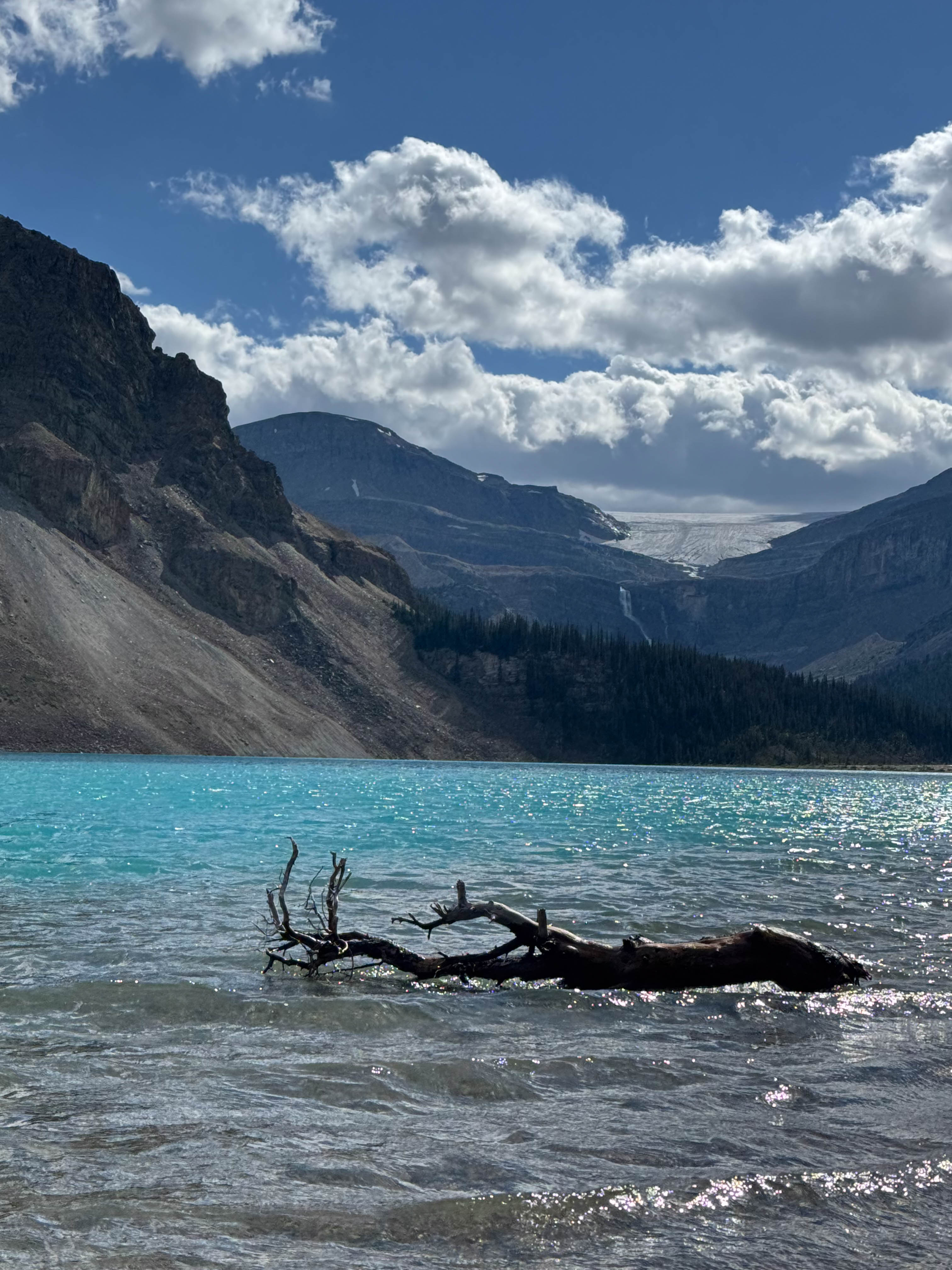 https://0201.nccdn.net/1_2/000/000/189/fde/calgary-order-225.jpg