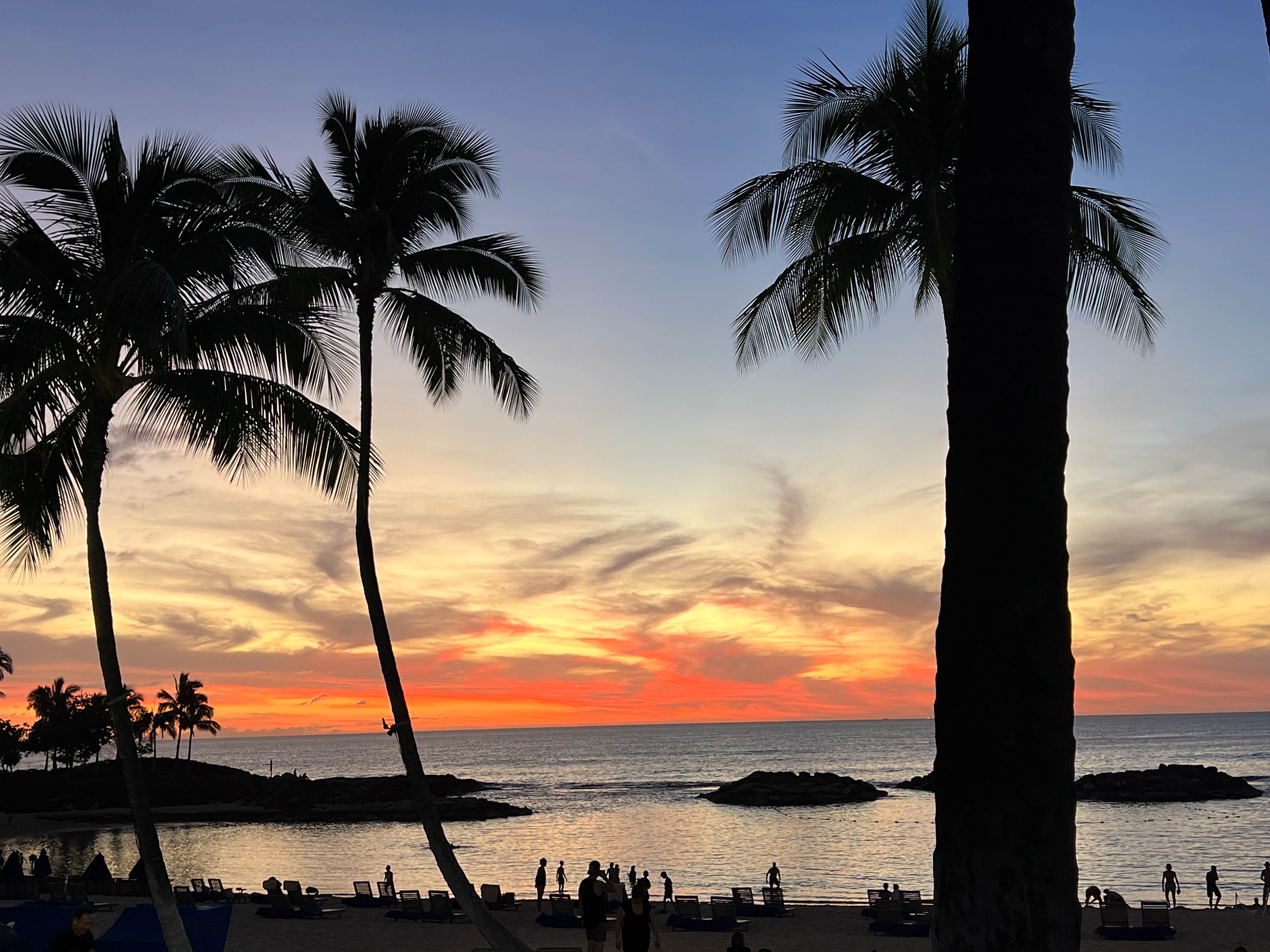 https://0201.nccdn.net/1_2/000/000/18a/20a/hawaii-order-126.jpg