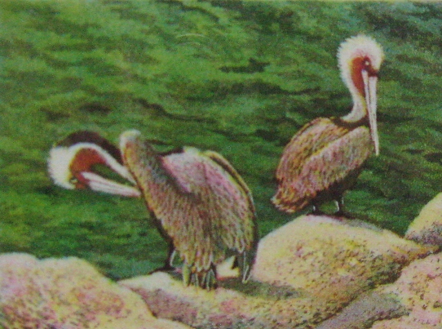 Hegler, Just Chillin, 3x4 Aquatint