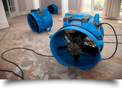 Building maintenance services||||