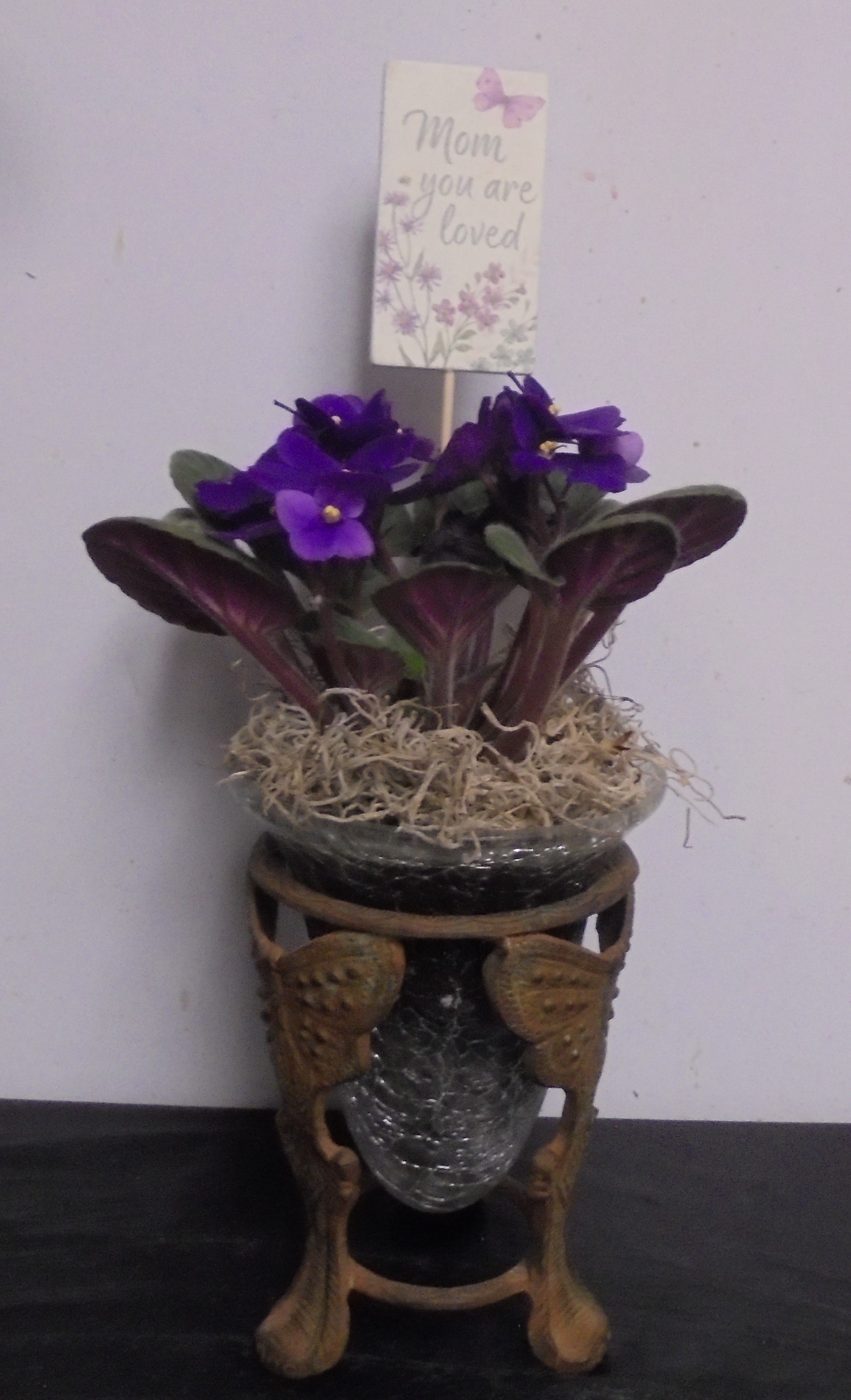 (22A)  "Purple" Violet Plant
In  Butterfly Vase
$30.00