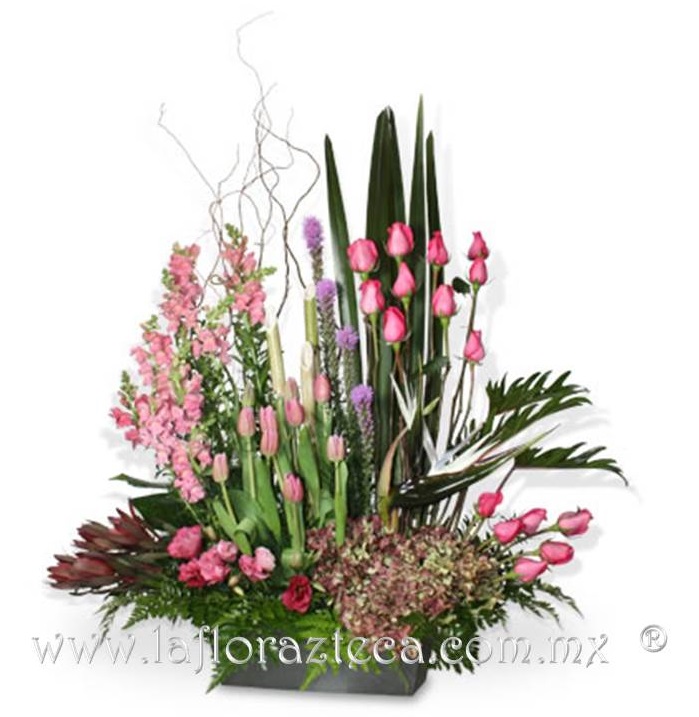 LFA-803
Precio $1,950