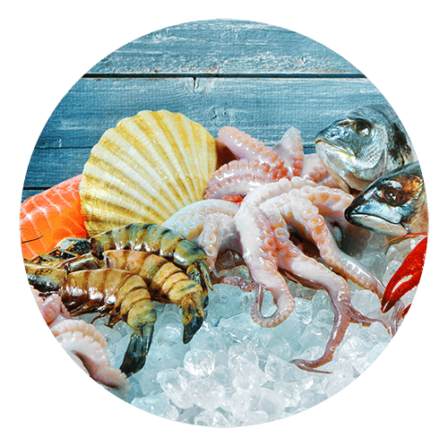 Importadora y Exportadora de Mariscos de Centro América y el Caribe S.A. de C.V. - mariscos