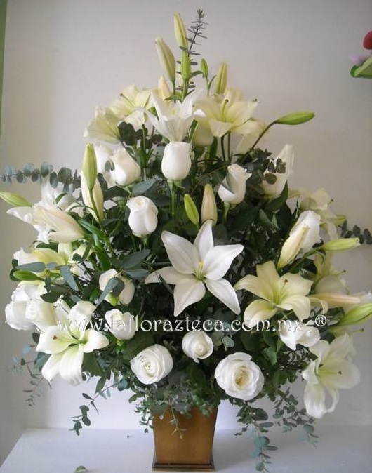 LFA-W014
Precio $1,645