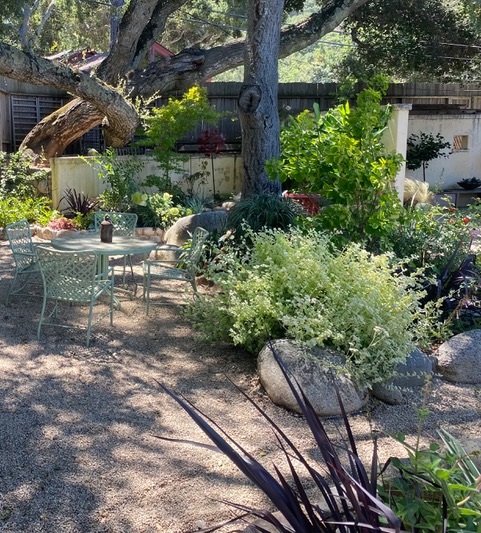 Lesley’s Own Garden 5