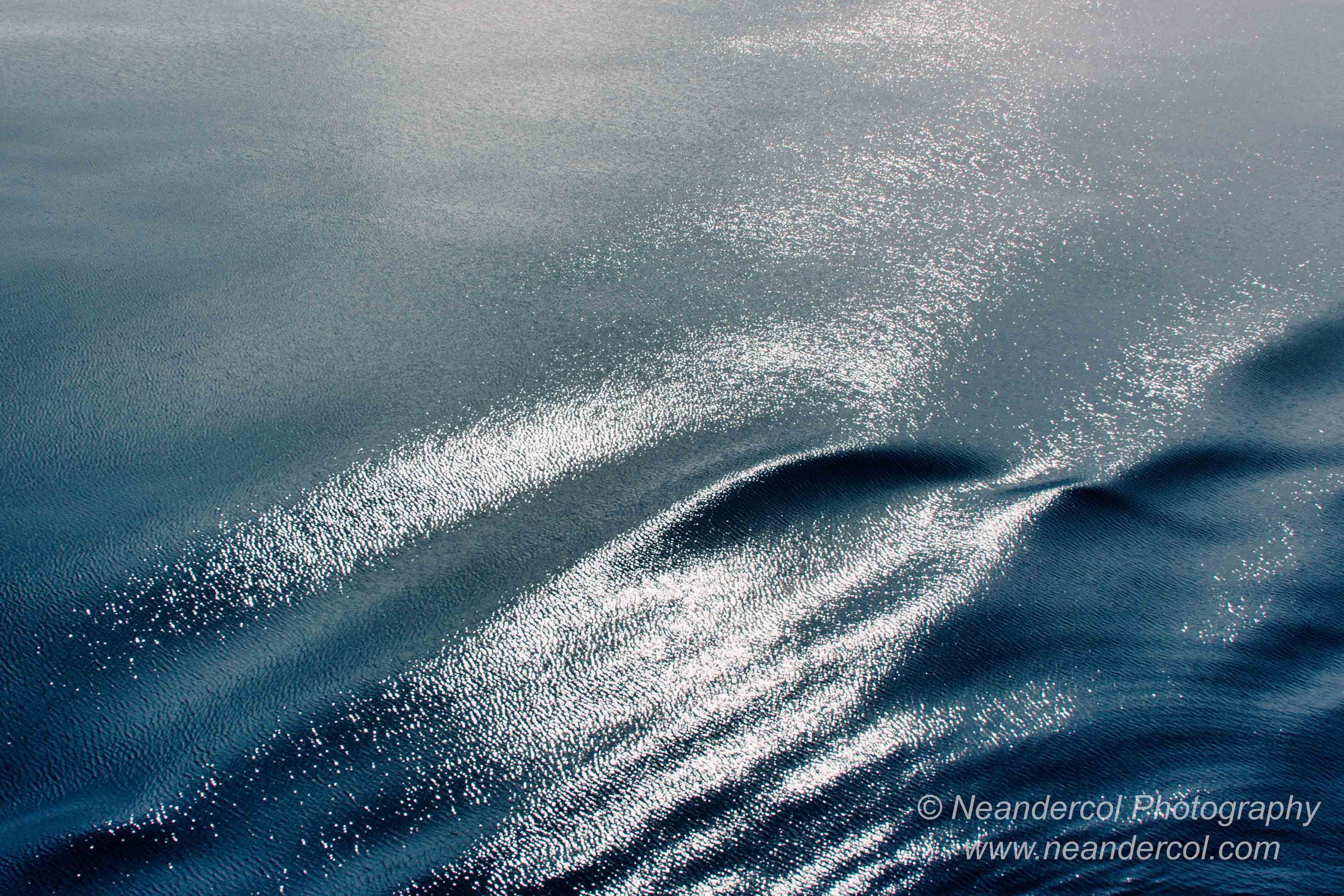 At Sea 732