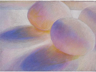 Backlit eggs (Coloured Pencil on Colourfix) 210mm x 297mm NFS