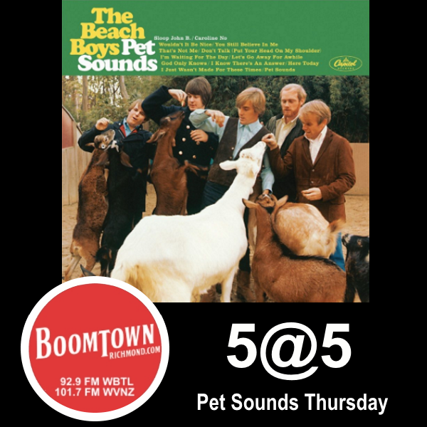 https://0201.nccdn.net/1_2/000/000/18b/c51/beach-boys-pet-sounds.png