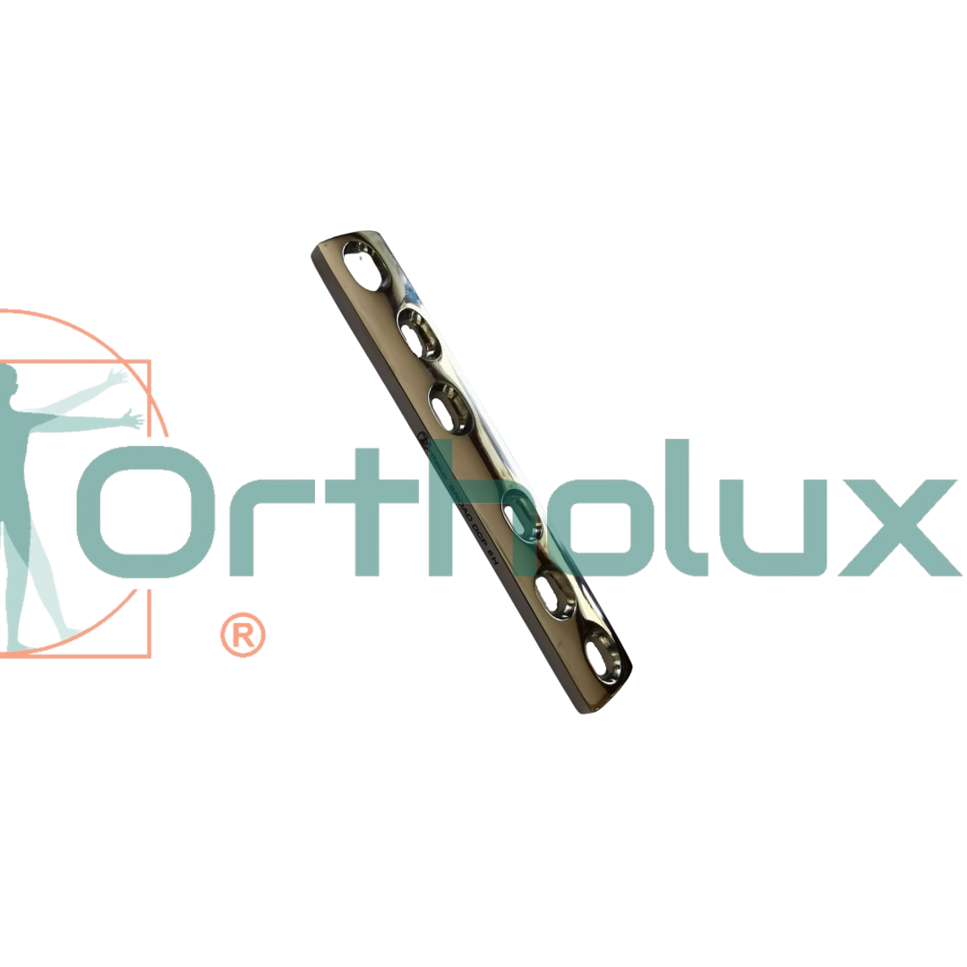 PLACA PESADA / ANCHA