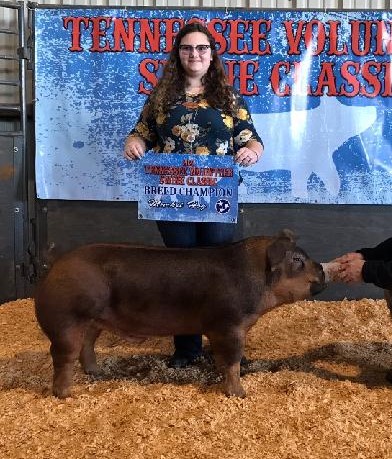 Alexis Mears
Champion Duroc Market Hog
2021 TN Volunteer Swine Classic