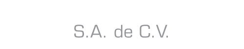 Sistemas de seguridad informática – Umo Professional Services S.A. de C.V. – Querétaro