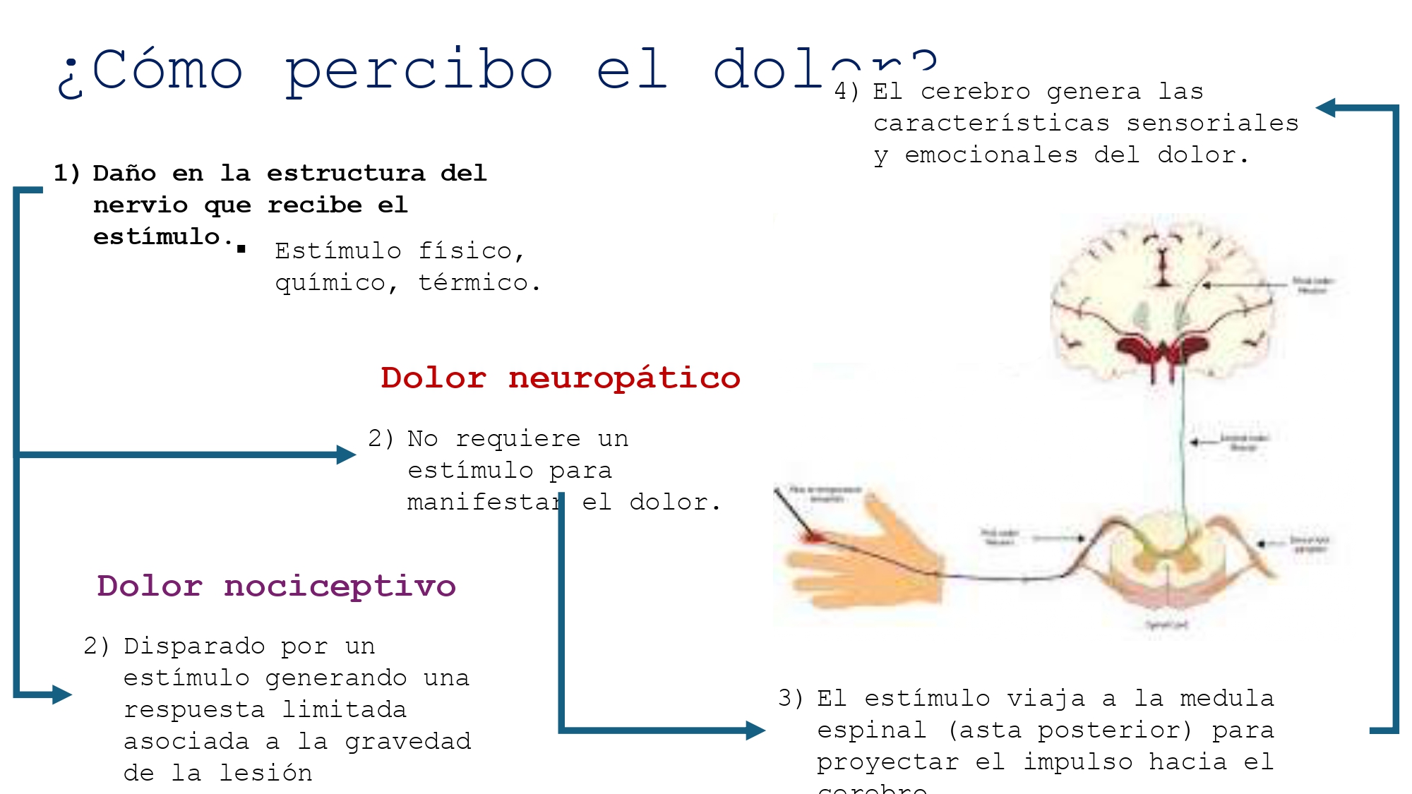 https://0201.nccdn.net/1_2/000/000/18c/978/dolor-neuropatico_page-0008.jpg