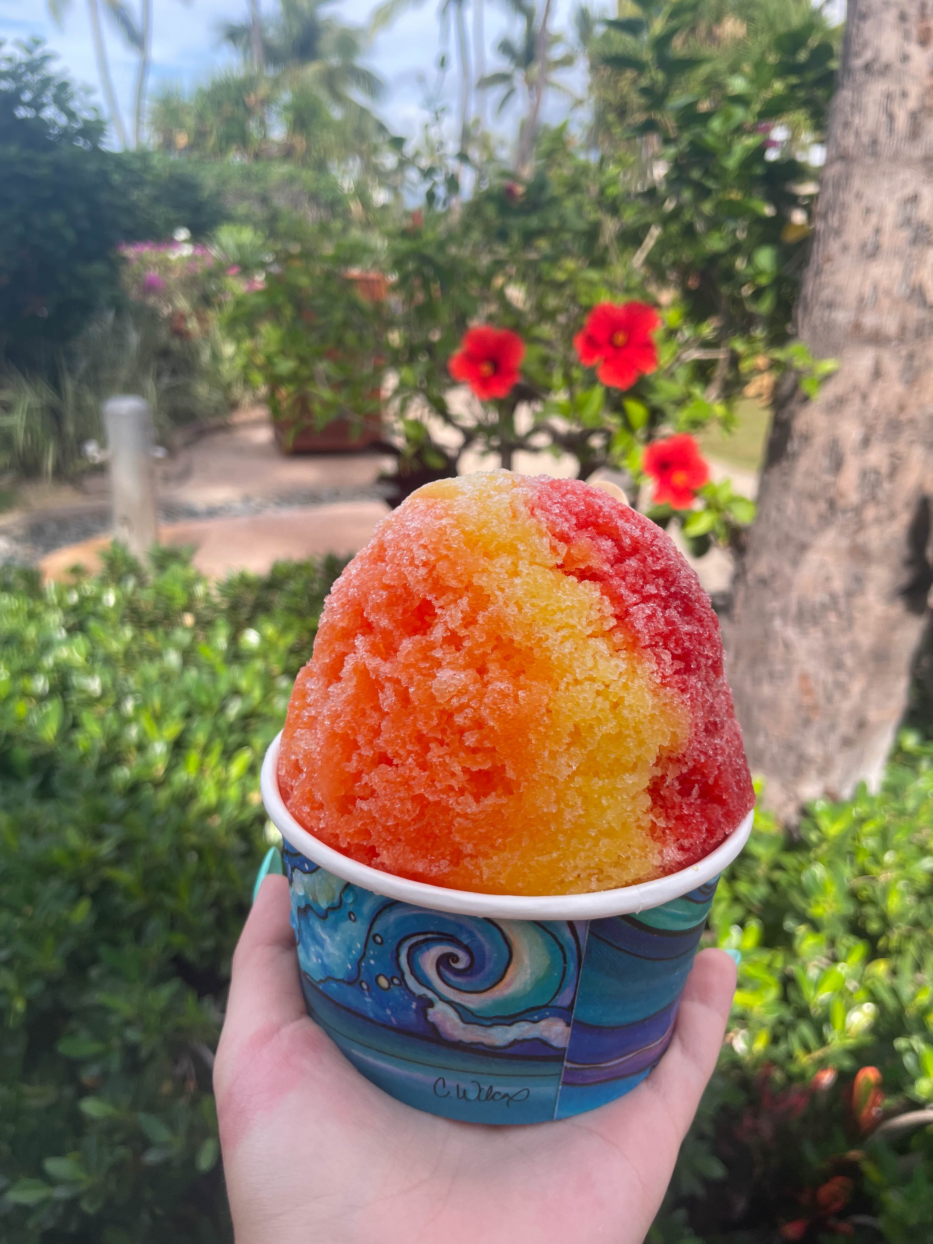 https://0201.nccdn.net/1_2/000/000/18c/b23/hawaii-order-138.jpg