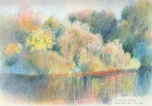 St James Park - Tree Study #3