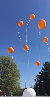 Orange Balloons