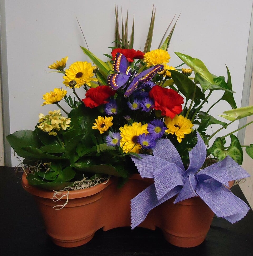 (17C) "Three" Plant Combo
W/ Fresh Flowers
$65.00
(Plants & Flowers Vary Daily)
