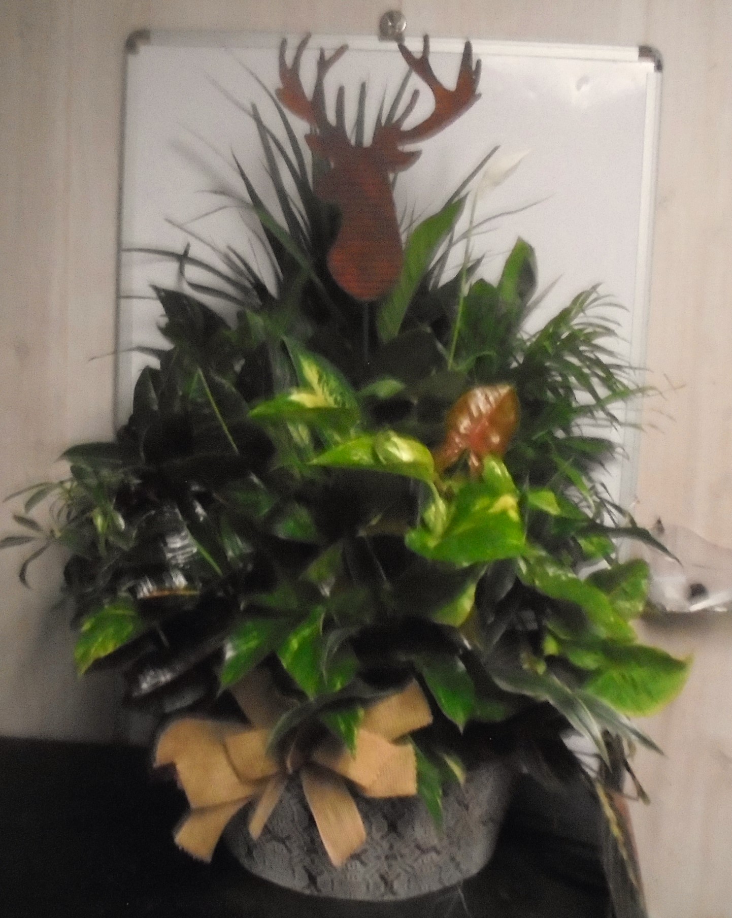 (10) Dish-Garden Plant (Metal)
W/ Deer
$125.00