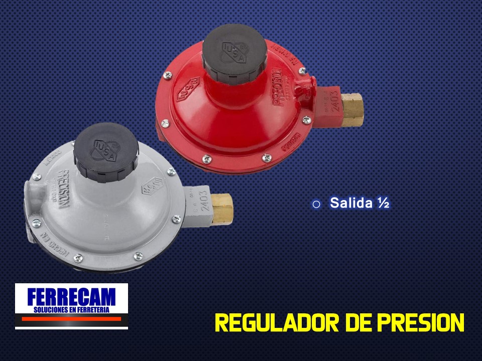 https://0201.nccdn.net/1_2/000/000/18d/98d/regulador-de-presion.jpg