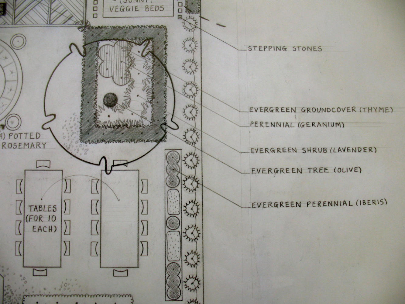 Detail of seating area for 20, a screen from the neighbors and a planting bed for an Olive tree with a Boxwood hedge and flowers