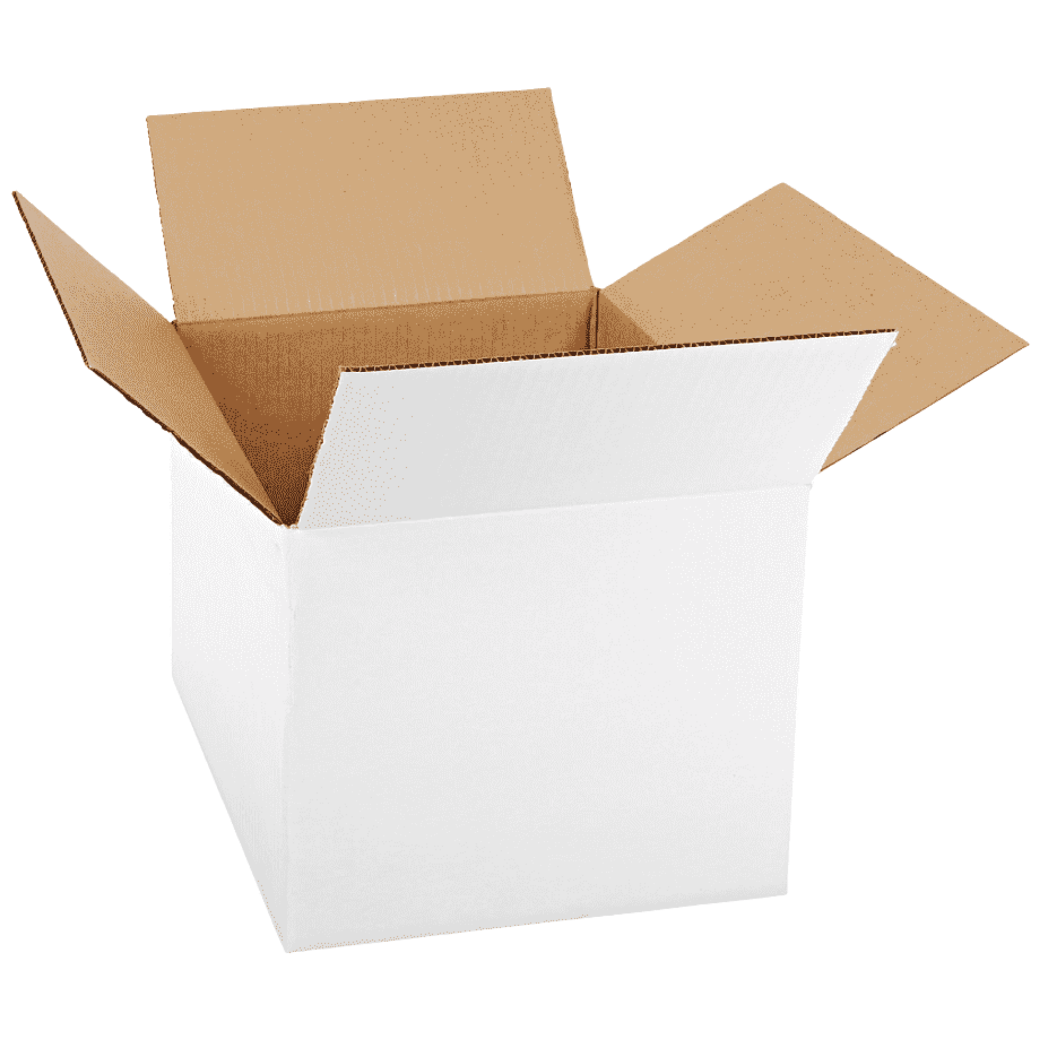 https://0201.nccdn.net/1_2/000/000/18e/43c/dise%C3%B1o-sin-t%C3%ADtulo--4-.png
