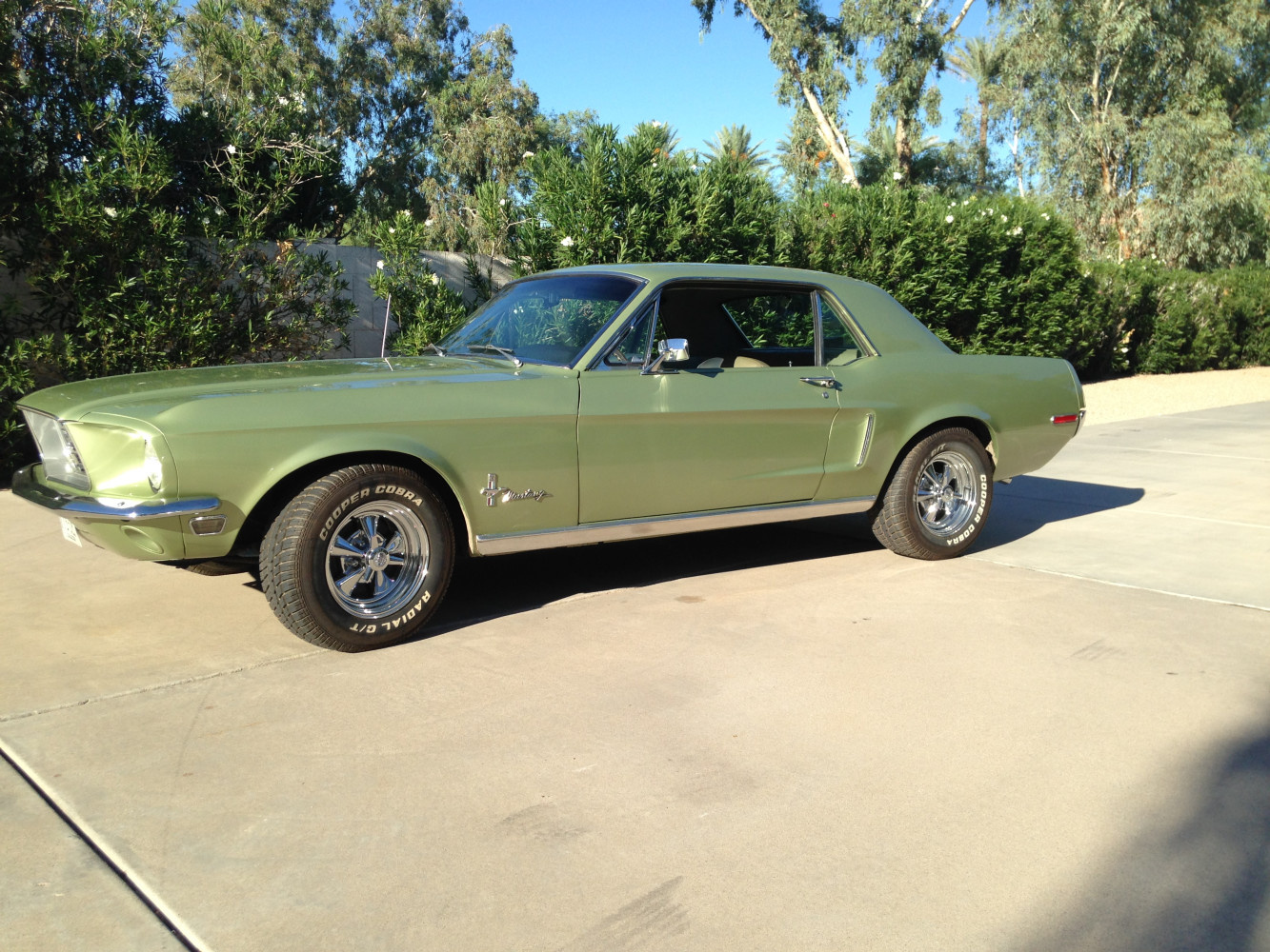 All the stainless trim is in great condition!