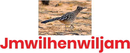 jmwilhenwiljam.com